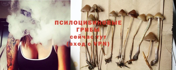 сатива Абдулино